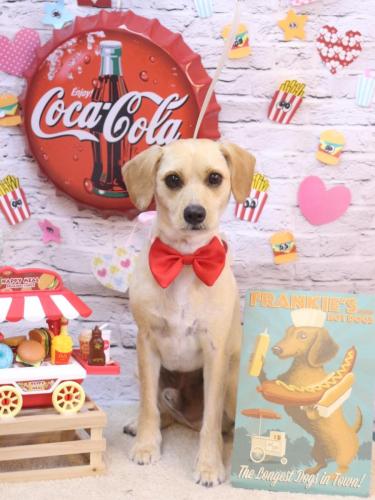 20230921ユキチくん